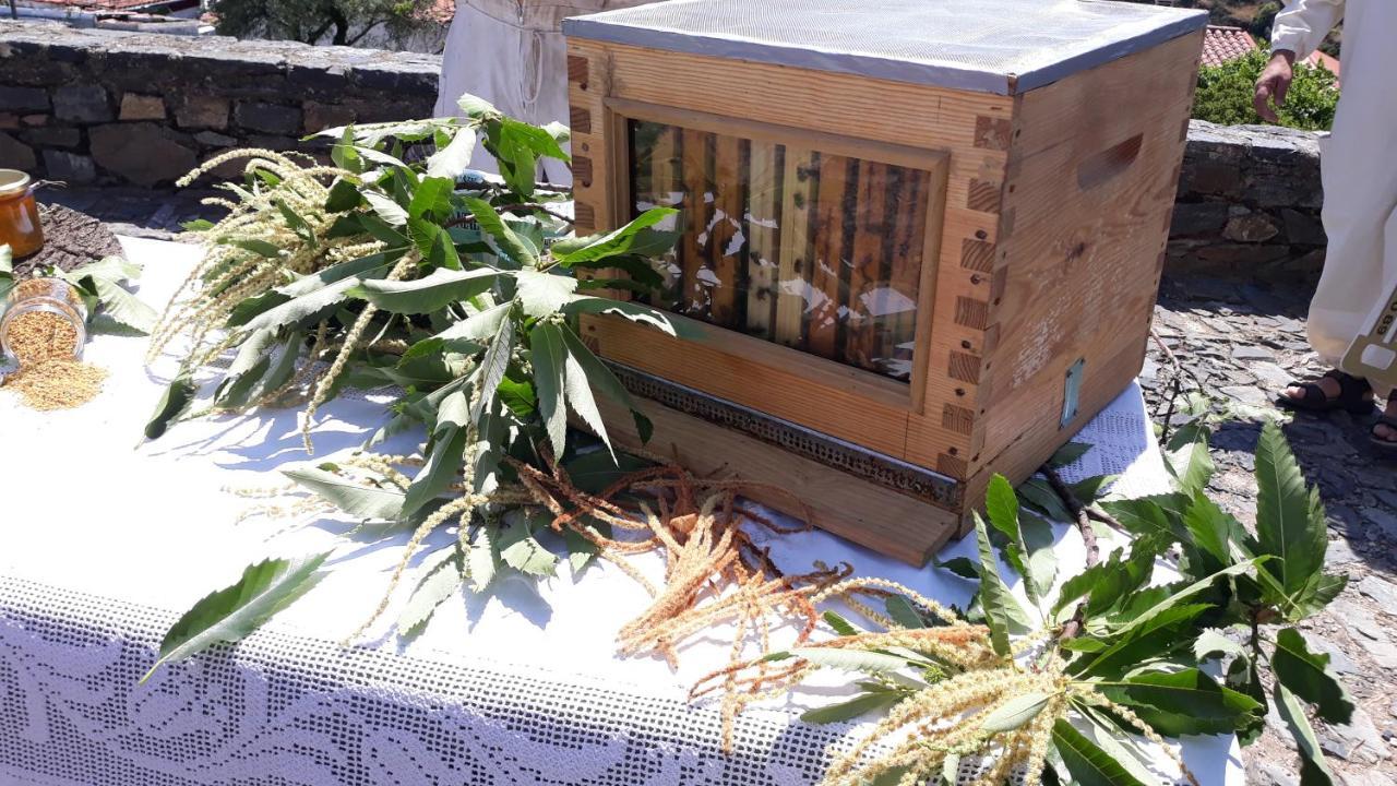 Apimonte Casa Do Serra - Pn Montesinho Vilarinho  Ngoại thất bức ảnh
